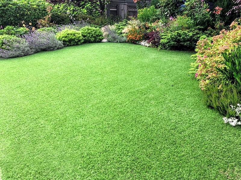 Landscaping-Grass