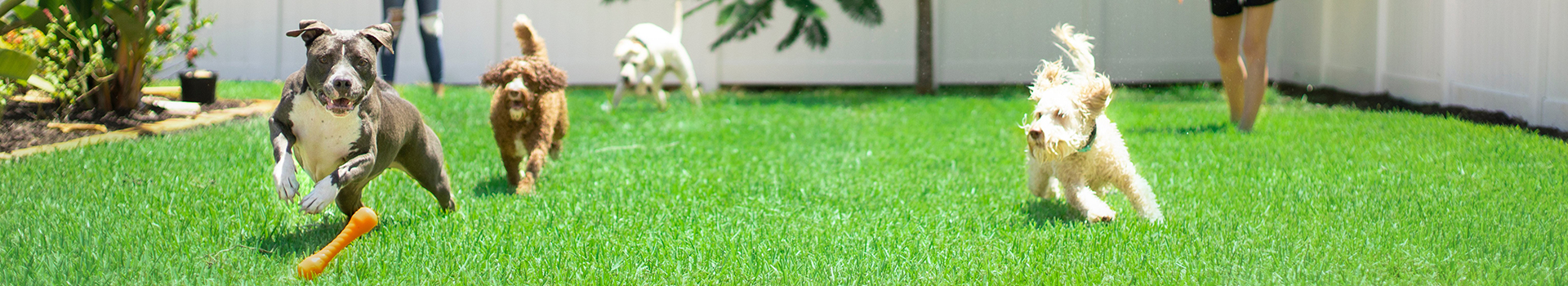 banner01